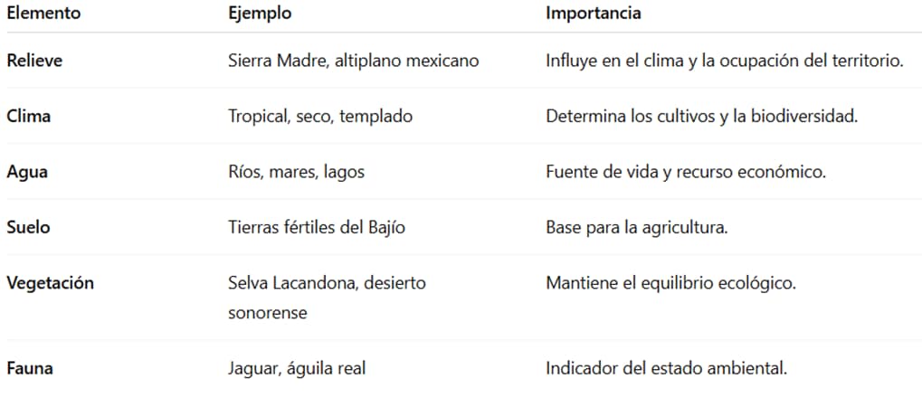 📋 Cuadro resumen: Componentes naturales
