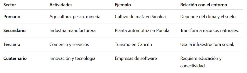 Cuadro resumen: Componentes económicos