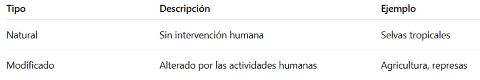 Cuadro resumen: Medio